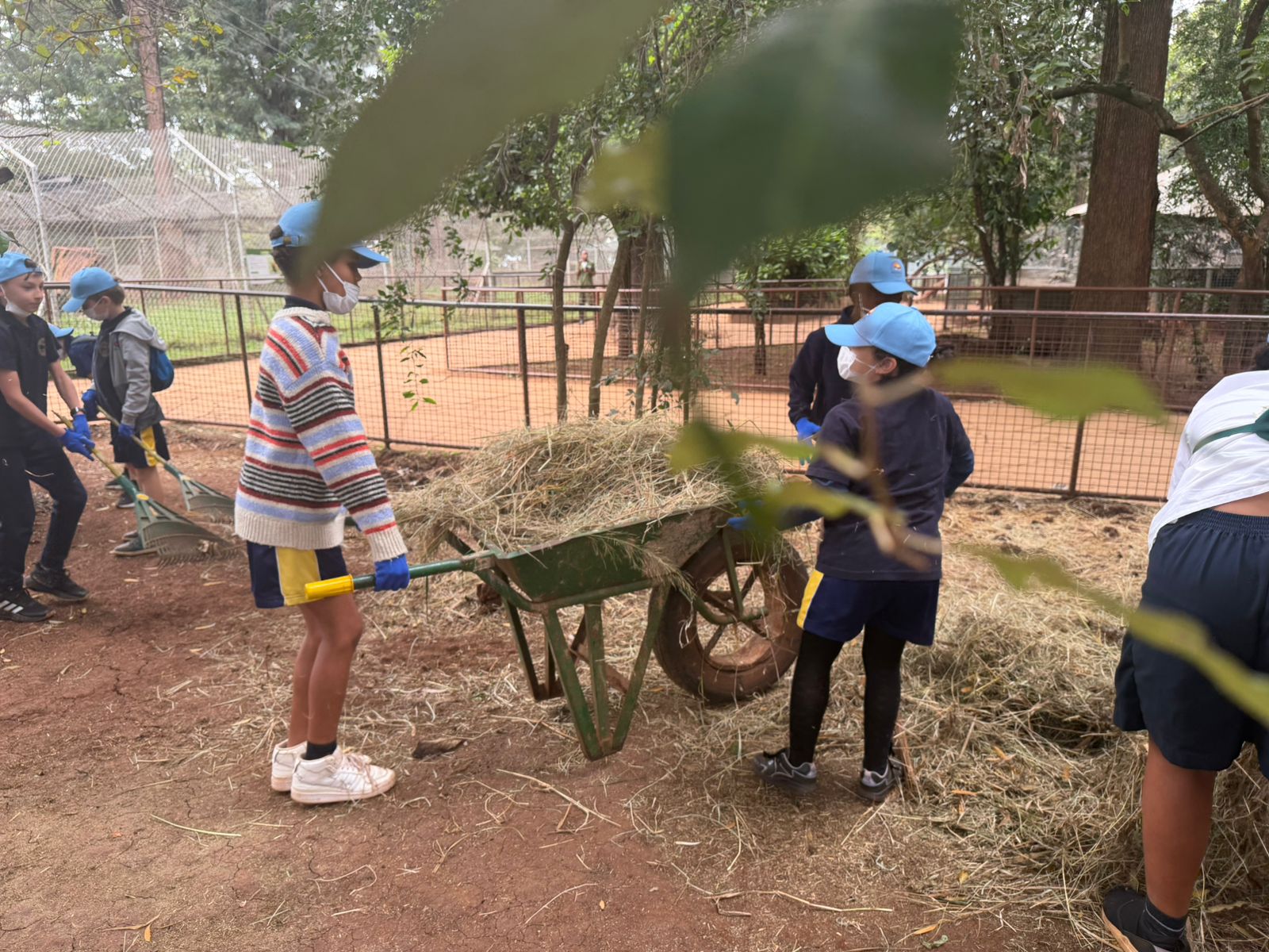 Safari Walk event image 8